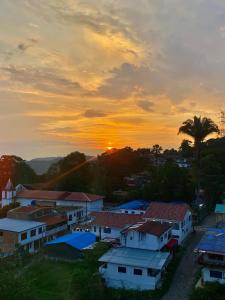 a sunset over a town with houses and a palm tree at VILLA DEL ROSARIO in Tena +14 photos