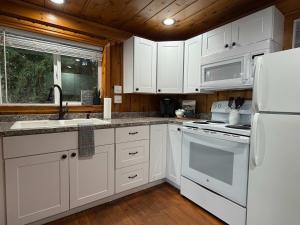 a kitchen with white appliances and a wooden ceiling at Lakefront Cabin Dock Kayaks & Fire Pit in Hayden