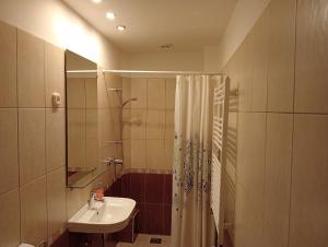 a bathroom with a sink and a shower at Boróka Panzió in Parád +17 photos