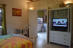 a bedroom with a bed and a television in a room at Yellow Bird Apartment in Christ Church