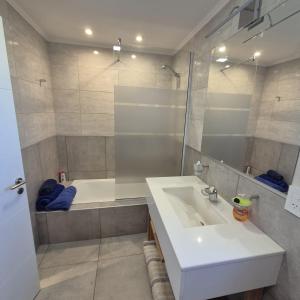 a bathroom with a sink and a shower and a tub at Depto nivel ejecutivo in Villa Regina