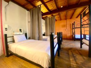 a bedroom with two bunk beds in a room at Casa Regina CDMX in Mexico City