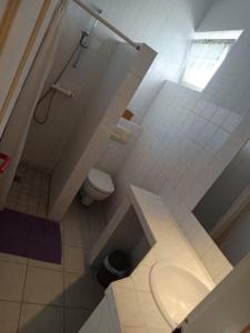 a bathroom with a shower and a toilet in it at Bacchus-hof in Báta +15 photos