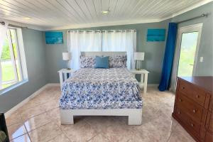 a bedroom with a bed and blue walls and windows at Andros Waterside Retreat in Deep Creek