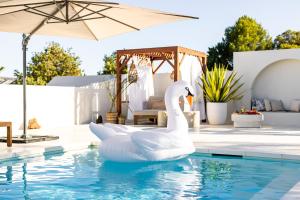 two white swans in the water in a swimming pool at Barossa Palms Motel in Nuriootpa