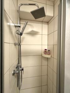 a shower with a shower head in a bathroom at modernes gemütliches Apartment in Gießen +13 photos