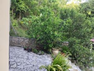 a garden with a stone wall and trees and plants at Le Courbaril in Le Gosier