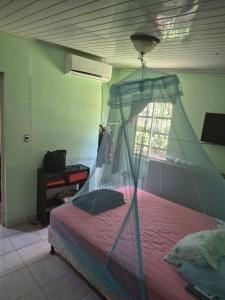 a bedroom with a bed with a mosquito net at Quinta los almendros in Jabillos