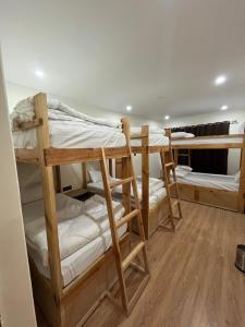 a group of bunk beds in a room at Snow Den hostel in Leh