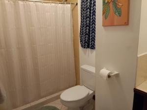 a bathroom with a toilet and a shower at Lucky get away in Poughkeepsie