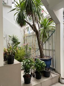 a group of potted plants sitting on a balcony at Tiger Homestay in Bangkok