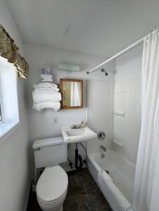 a bathroom with a toilet and a sink and a tub at Studio Suite 8 Green Gables Resort in Osoyoos