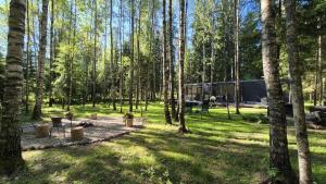 a camping site with a tent in the woods at For-rest Užsienis in Kazitiškis