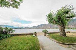 a palm tree and a sidewalk next to a lake at 1 BR Suite 9 at Green Gables Resort in Osoyoos +39 photos
