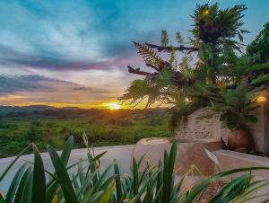 a view of a sunset from a spa tub with plants at HAVAN Villas - Yogyakarta in Jarakan