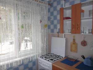 リペツクにあるApartment on prospekt Pobedy 12のキッチン(コンロ付)、窓(カーテン付)