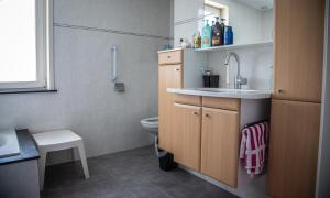 a bathroom with a sink and a toilet at Vakantiehuis 'Oan de Feart' in De Valom +38 photos