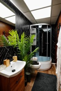 a bathroom with a shower and a toilet and a sink at Cofy Rentals - old town, quiet area, air-conditioning, free parking, 24-7 express check-in-out, close to green parks, everything you need for living in Pärnu