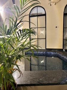 a swimming pool in a room with plants at The Benjamins Pool Villa in Jodhpur