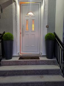 a white front door with two plants on the steps at Cozy country house in Preveza