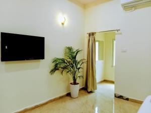 a living room with a tv and a potted plant at Mega Grand Rooms in Narasaraopet