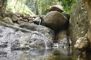 a stream of water with rocks and a waterfall at Casa De Campo in Idukki