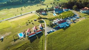 an aerial view of a village with a farm at Gustoplatzl in Klöch +13 photos