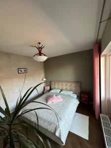 a bedroom with a bed and a potted plant at Apartament Birutes 22 in Klaipėda