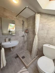 a bathroom with a toilet and a sink and a shower at Lovely duplex apartment in Savina +29 photos