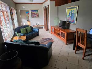 a living room with a couch and a television at Aqua Terra Guest House in Lydenburg