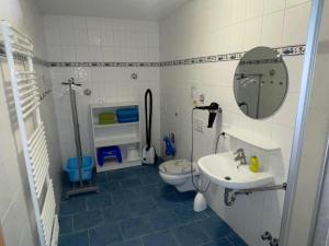 a bathroom with a sink and a toilet and a mirror at Wattenmeer-Ferien in Süllwarden +64 photos