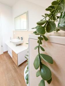 a bathroom with a plant next to a sink at Kraatzer Ferienwohnungen in Gransee +34 photos