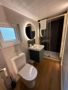 a bathroom with a toilet and a sink at Rhosyn Highland Cattle Farm in Dunstall +9 photos