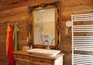 ein Bad mit einem Waschbecken und einem Spiegel in der Unterkunft Ferienwohnung Zum alten Forsthaus in Messern