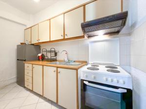 a kitchen with a white stove and a sink at Villa Kalliopi in Gerakini