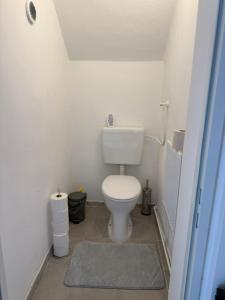 a small bathroom with a toilet and a rug at Caroline in Leoben