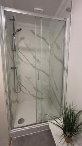 a shower with a glass door in a bathroom at Vibrant City Center Studio Apartment 6a in Norwich +5 photos