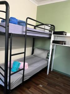 a dorm room with two bunk beds and a ladder at Backpackers By The Bay in Airlie Beach