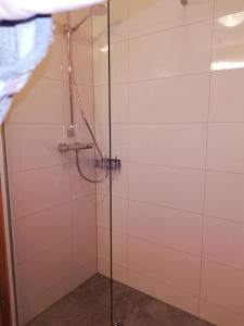 a shower with a glass door in a bathroom at Bungalow Müller in Brand