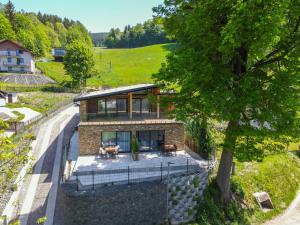 an aerial view of a house with a tree at Casa Lipa in Horní Maršov