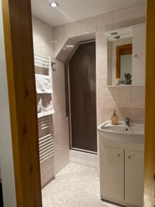 a bathroom with a sink and a shower at Pension MÍŠA in Velká Úpa
