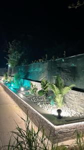 a garden at night with plants and lights at Κτήμα Καρνέση 2 in Loutra Edipsou