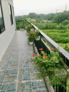 a balcony with flowers and plants on it at Tam coc Sylvani Homestay in Vũ Lâm
