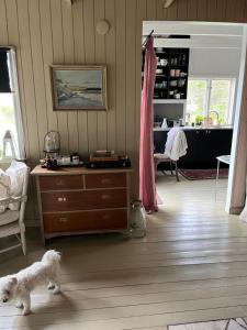 a dog standing in a room with a dresser at Ikigaiisättra 44 in Åkersberga