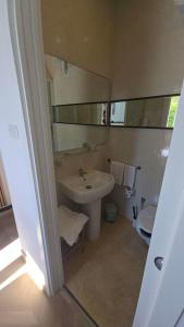 a bathroom with a sink and a toilet and a mirror at Locanda Villa Moderna in Genoa +17 photos