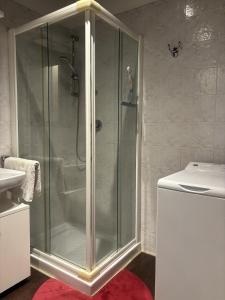 a shower with a glass door in a bathroom at Nice Gecko in Baveno +10 photos