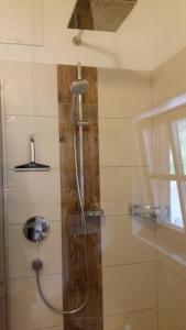 a shower with a hose in a bathroom at Almhütte Eibingalm in Saalbach-Hinterglemm +11 photos