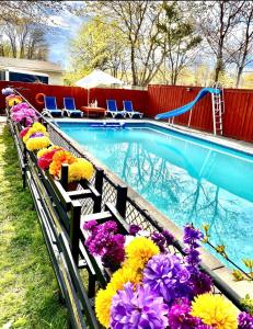 a swimming pool with a bunch of flowers next to it at Luxury KIA Room D in Richmond Hill