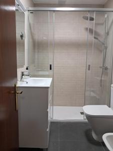 a bathroom with a shower and a sink and a toilet at Ca Carmina in Colunga +20 photos