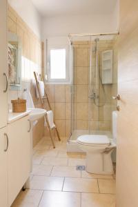 a bathroom with a shower and a toilet and a sink at Ionion exclusive villa in Syvota +21 photos